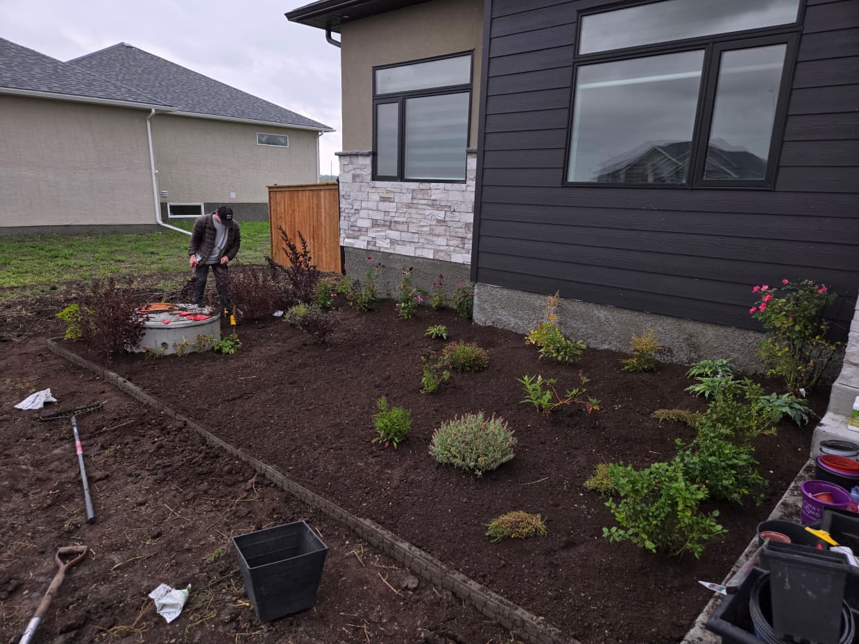 A man installing flowers in a garden