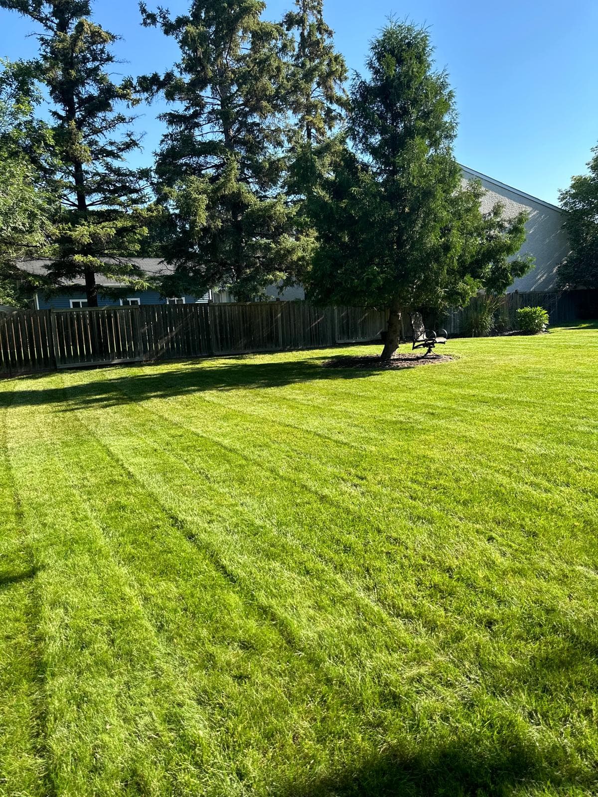 A well-maintained green lawn with freshly cut grass