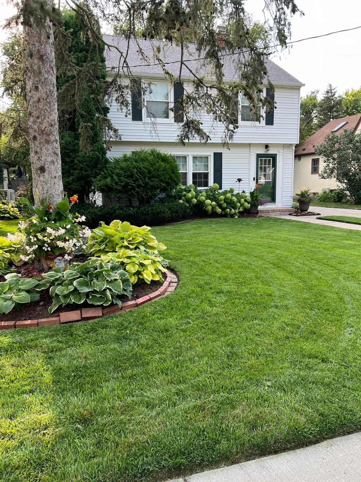 A beautiful garden with flowers and plants