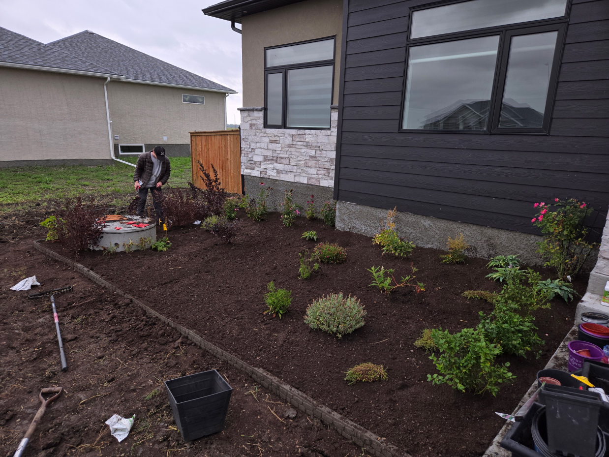 A garden bed with freshly planted shrubs and flowers sits next to the exterior wall of a modern house with dark siding and stone accents. A person works near a utility cover, surrounded by tools and empty plant pots, under overcast skies.