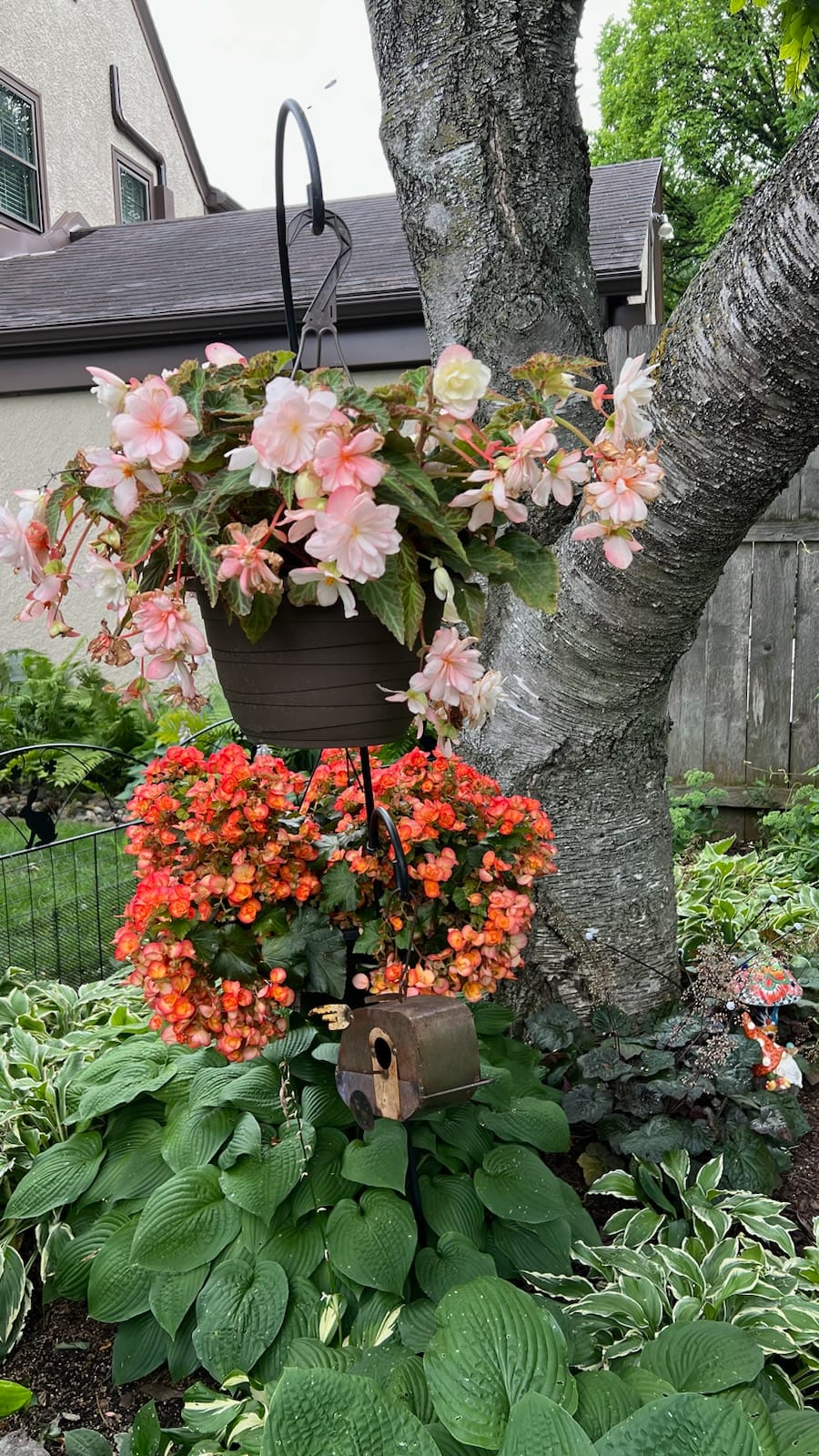 A garden beautiful pink and red flowers