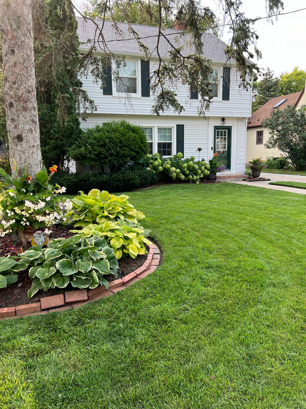 A freshly mowed lawn, green plants, white flowers, a tree, a white house in the background