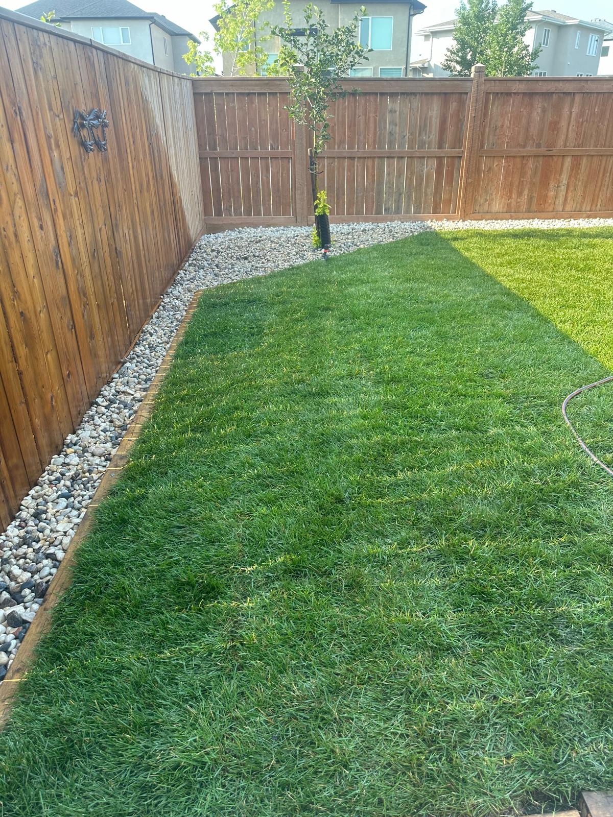 A freshly mowed lawn in a backyard