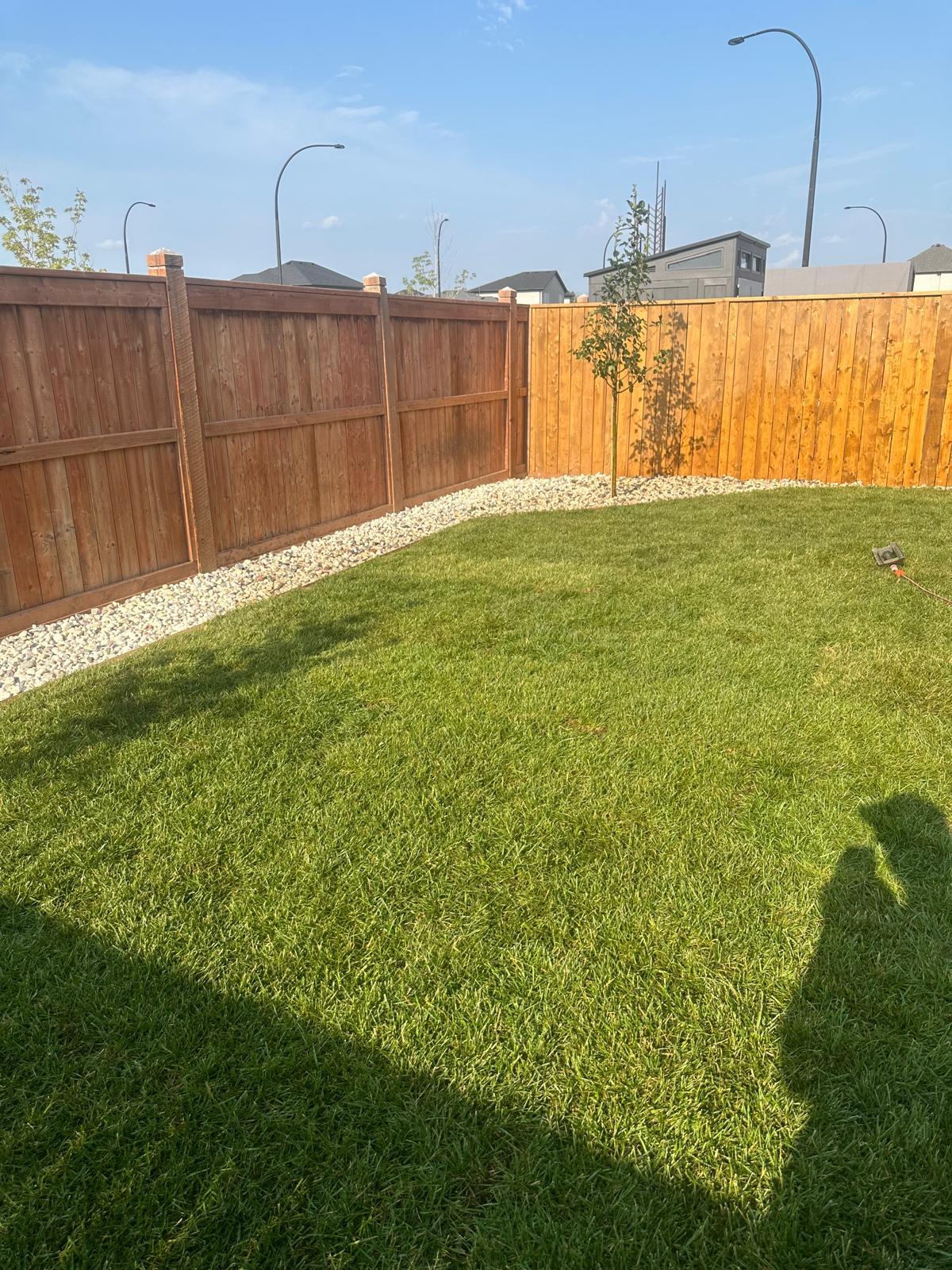 A freshly mowed lawn in a backyard