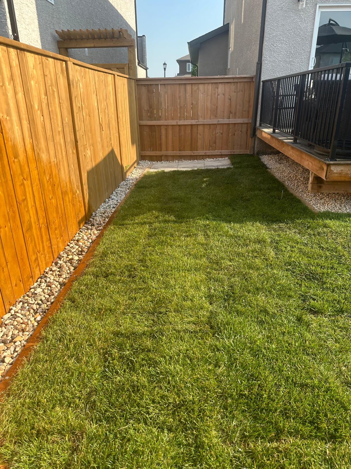 A freshly mowed lawn in a backyard