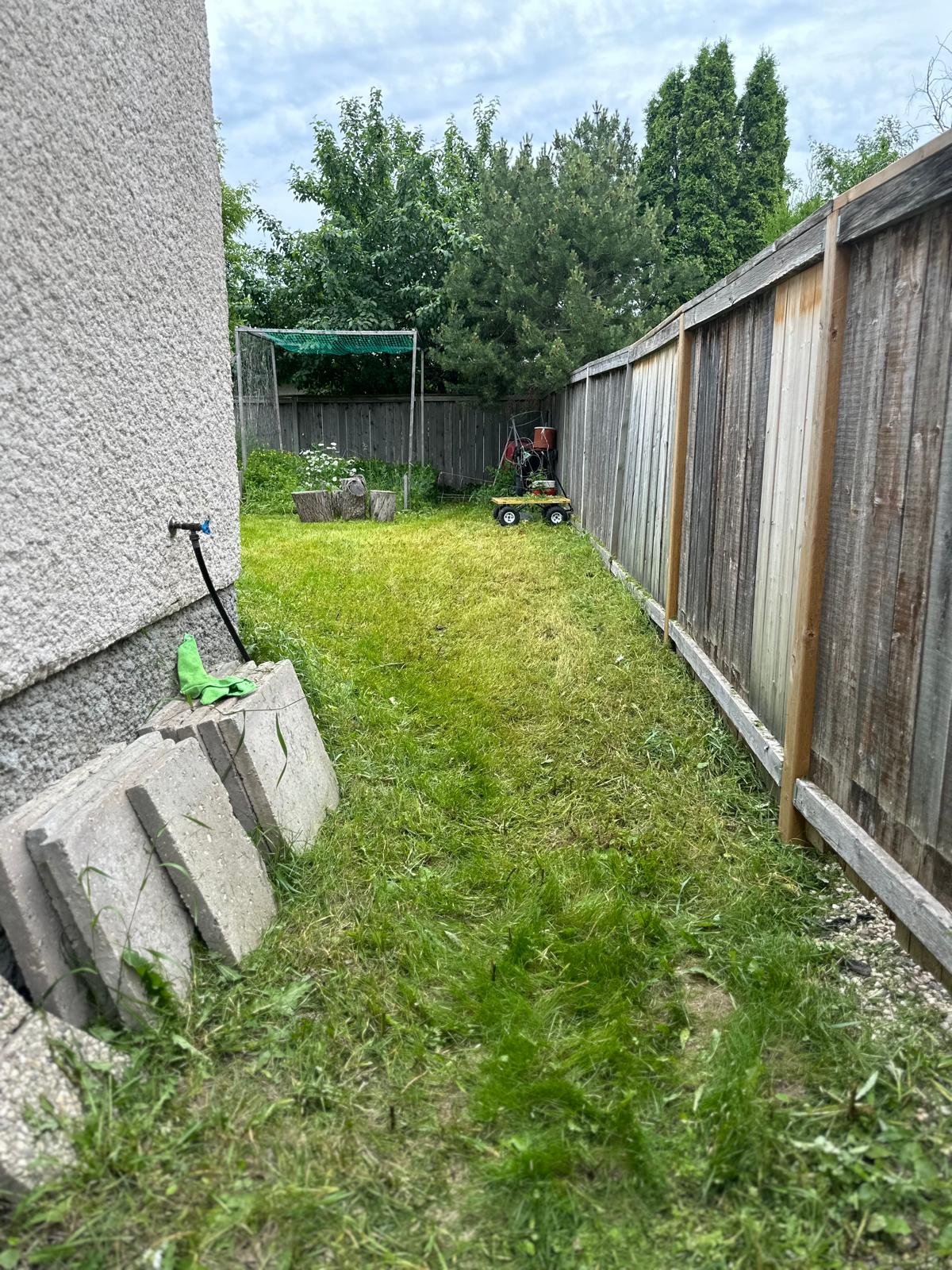 A lawn in a backyard after it was mowed