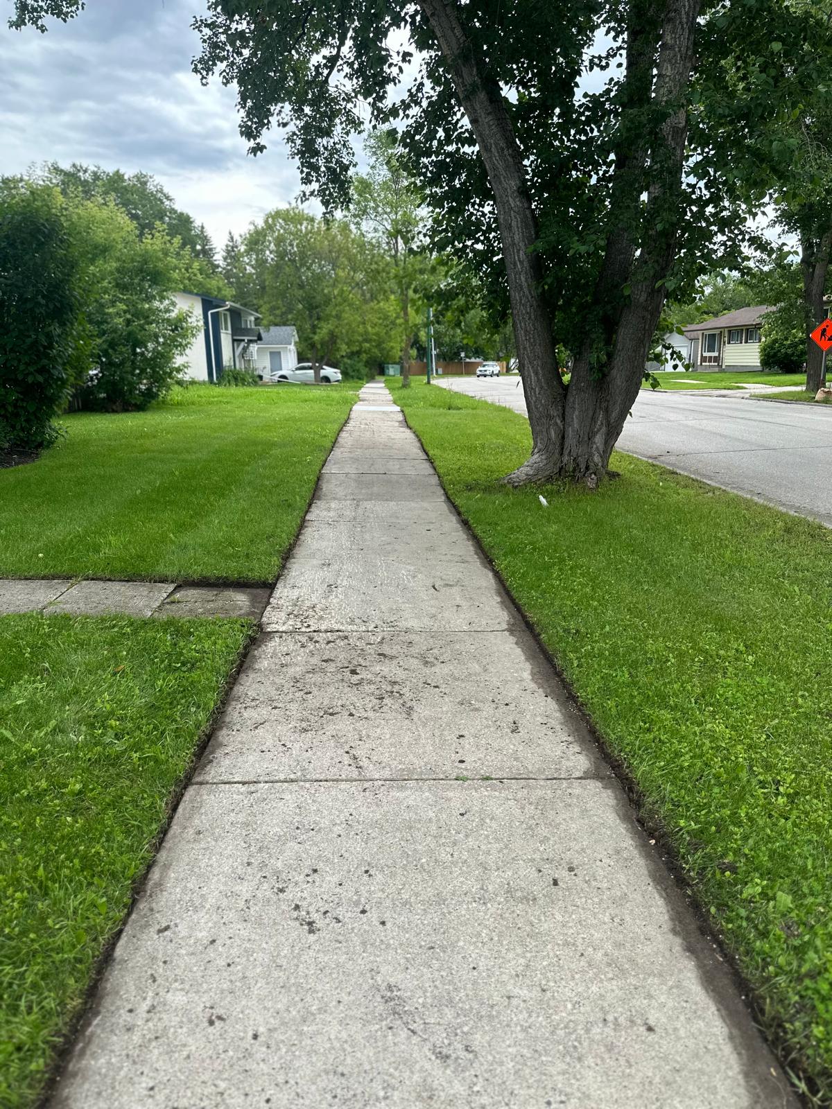 A freshly mowed lawn and a pavement