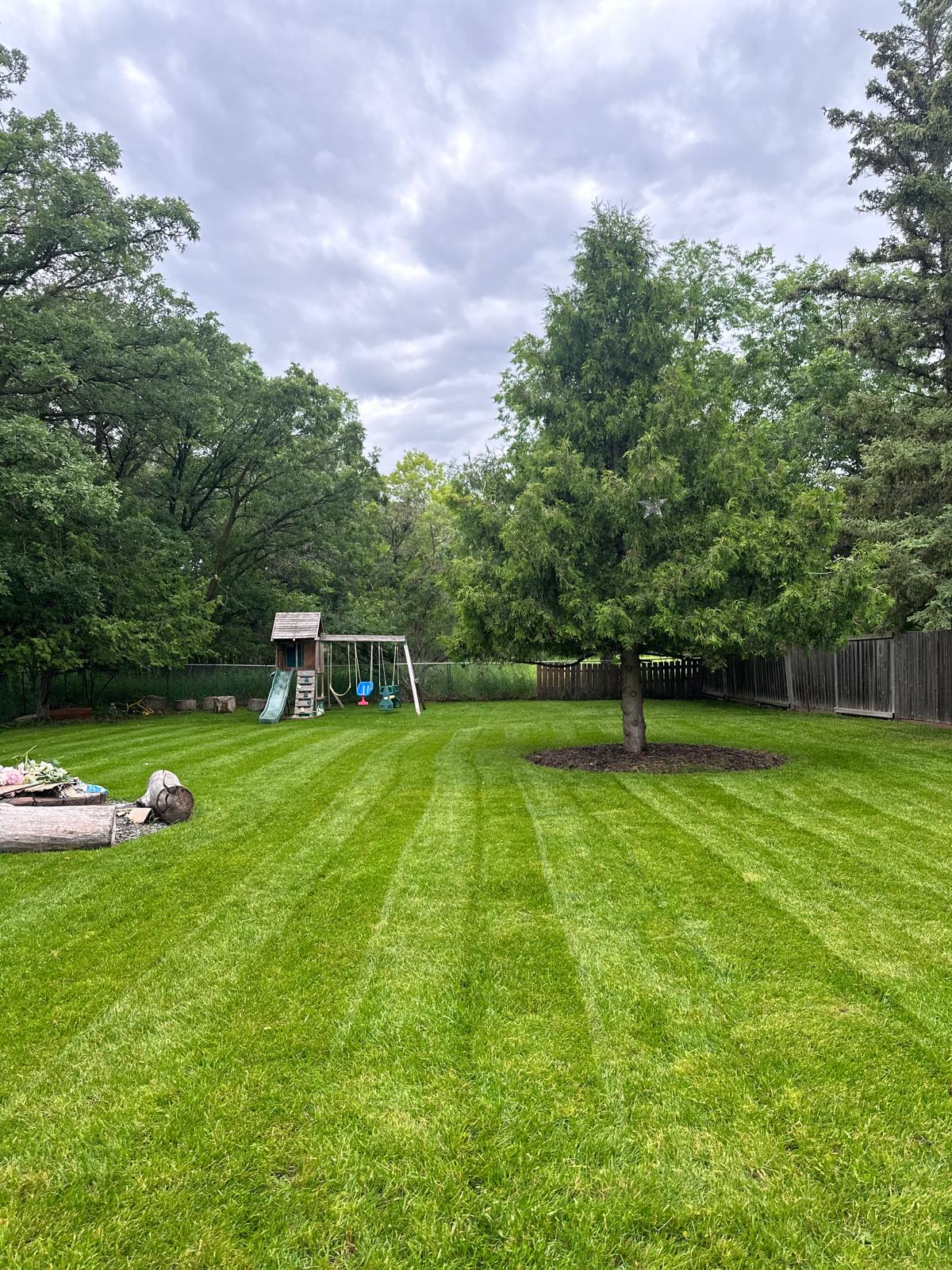 A freshly mowed lawn in a backyard