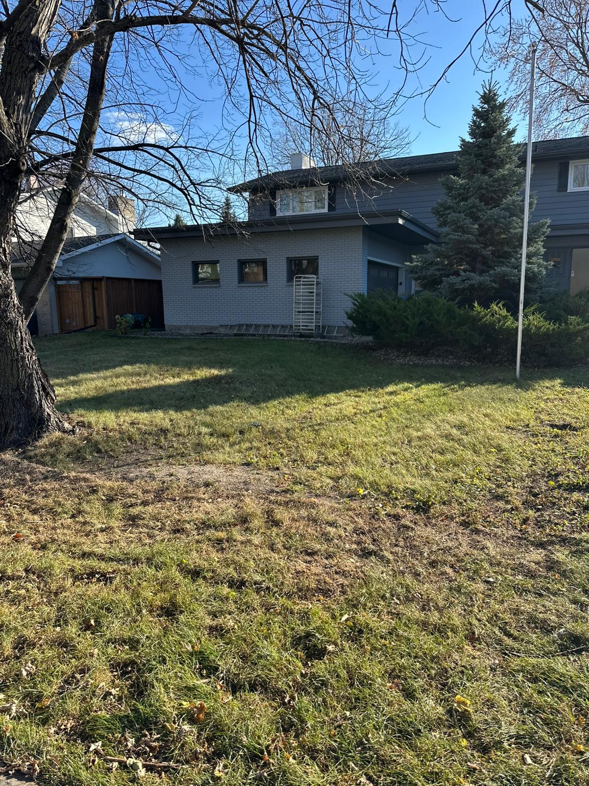 Clean yard with all leaves removed after cleanup.